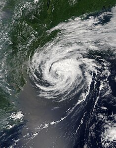 Den tropisk stormen Beryl nära maximal intensitet