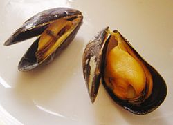 Cooked mussels DSC09244.JPG