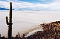 Salar de Uyuni, Bolivia.jpg