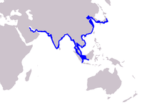 Den Asiatiska tumlarens utbredningsområde.