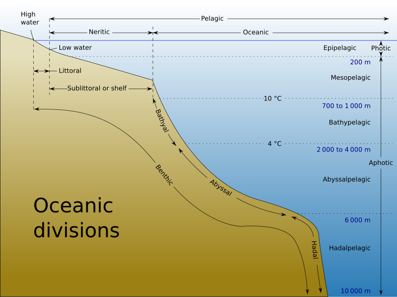 Fil:Oceanic divisions.svg