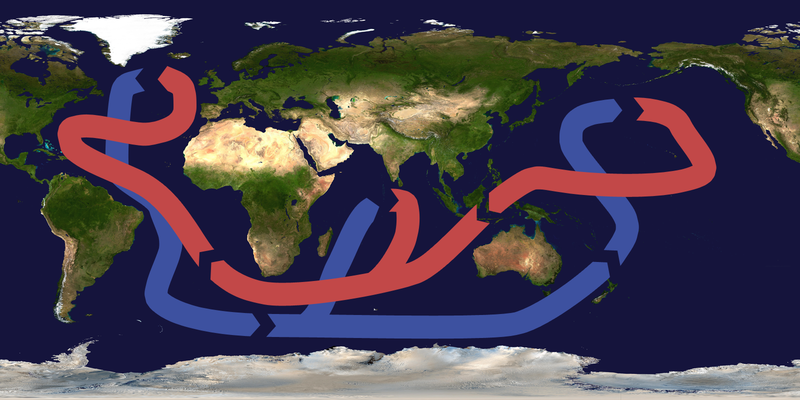 Fil:Thermohaline circulation.png