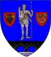 Coat of Arms of Caraş-Severin county