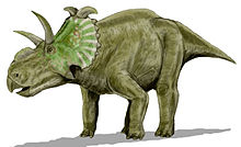 Illustration av Albertaceratops
