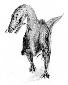 Suchomimus Teckning av ArthurWeasley