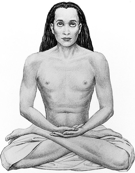 Fil:Babaji.jpg