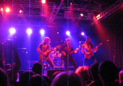 Winger live 2006
