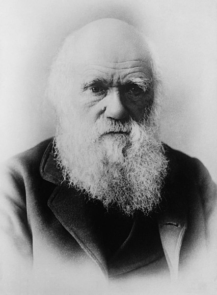 Fil:Darwin restored2.jpg