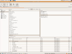 Rhythmbox on Ubuntu.png