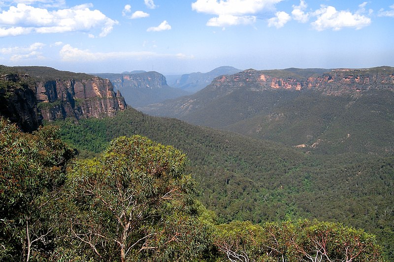 Fil:Blue Mountains, Australia.jpg