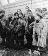 Förintelsen: Barnfångar i Auschwitz strax efter de sovjetiska soldaternas befrielse av lägret.