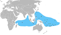 Fil:CoconutCrab distribution map.svg