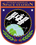 ISS insignia