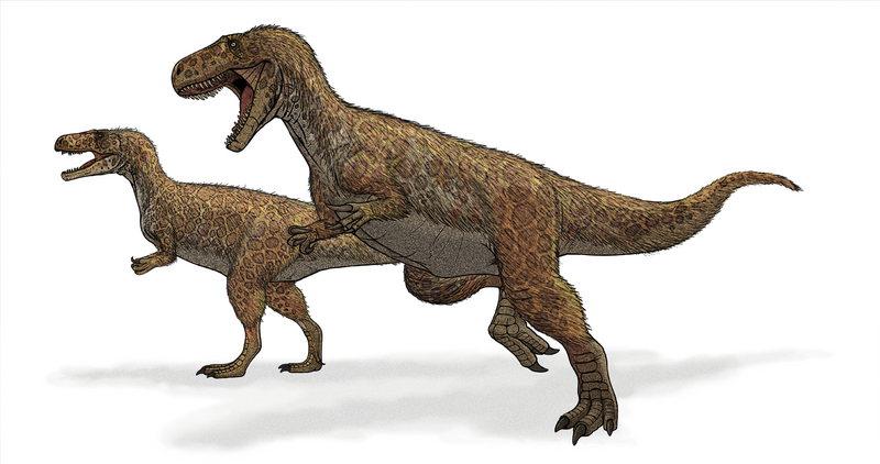 Fil:Megalosaurus dinosaur.png