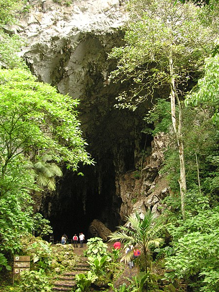 Fil:Cueva del Guacharo.jpg
