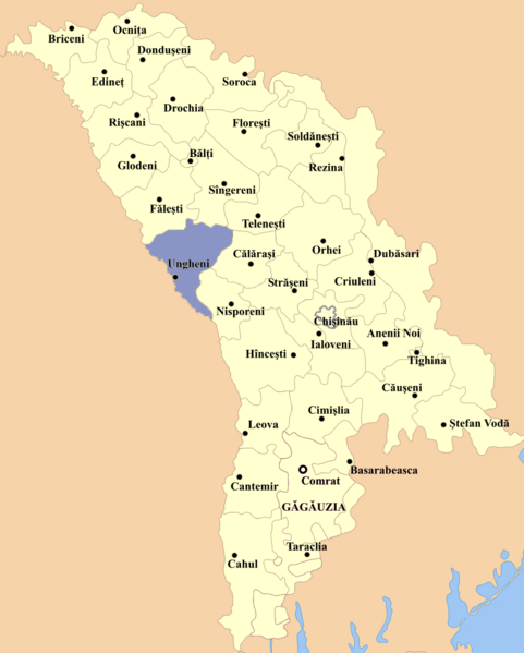 Fil:Ungheni county.png