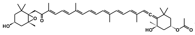 Fil:Fucoxanthin.png