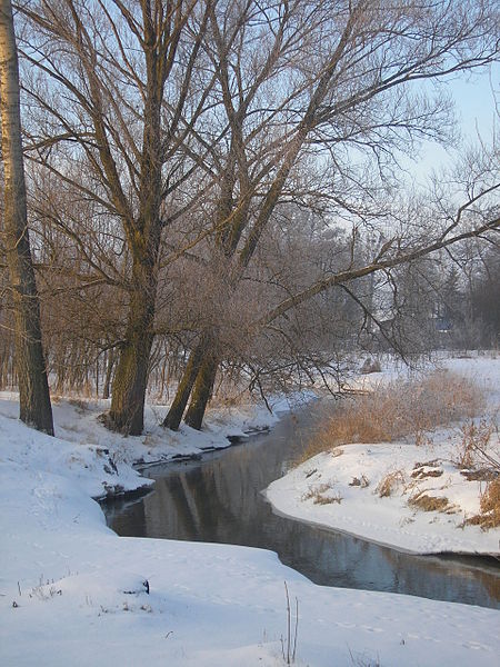 Fil:Kurówka River 01 Poland.JPG