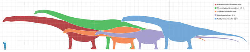 Fil:Longest dinosaurs1.png