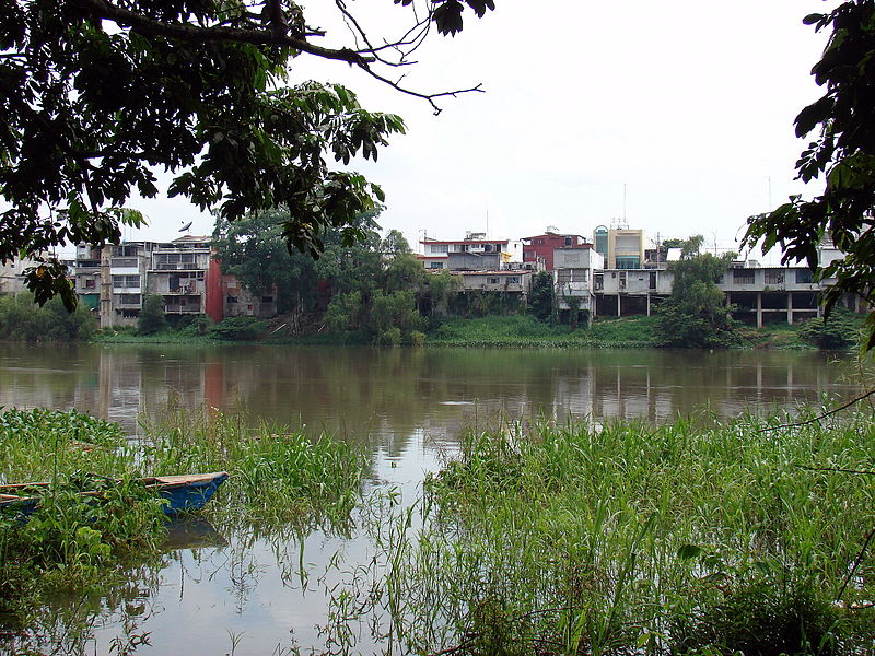 Fil:Tux Papaloapan river.JPG