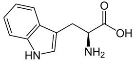 Fil:L-Tryptophan - L-Tryptophan.svg