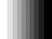 Fil:Gray scale.jpg
