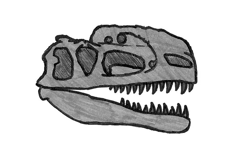 Fil:Monolophosaurus skull 070.JPG