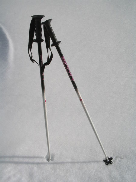 Fil:Ski poles.jpg