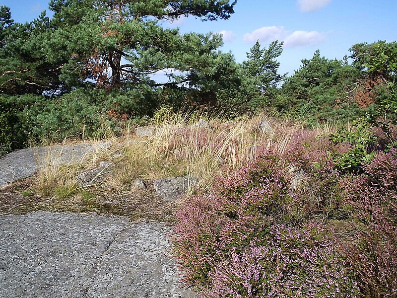 Fil:Stensättning, ensamliggande, i Björlanda socken på Hisingen den 31 augusti 2005..JPG
