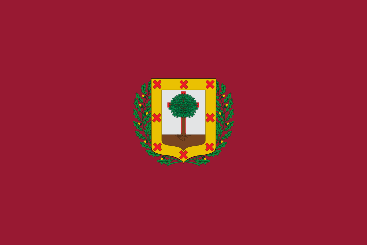 Fil:Bandera de Vizcaya 2007.svg