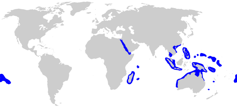 Fil:Carcharhinus amblyrhynchos distmap.png