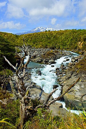 Mahuia River i  Tongariro nationalpark