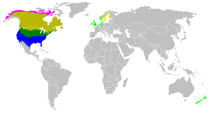 Fil:Branta canadensis map.png