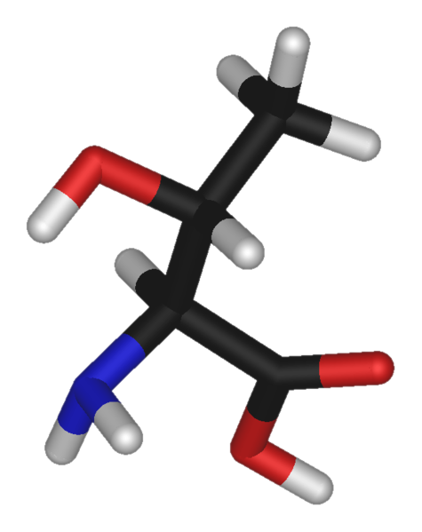 Fil:L-threonine-3D-sticks.png