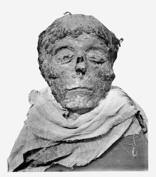 Fil:Ahmose-mummy-head.png