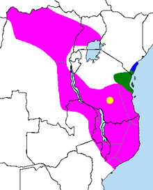 Snabelhundarnas utbredningsområde, R. udzungwensis utbredningsområde visas i gul