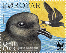 Klykstjärtad stormsvala på färöiskt frimärke