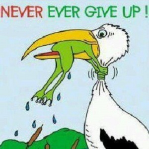 Never Give Up.jpg