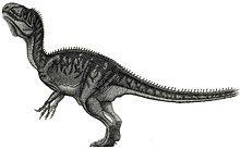 Piveteausaurus Teckning Jordan Mallon