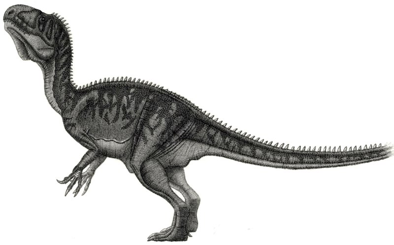 Fil:Piveteausaurus divesensis jmallon.jpg