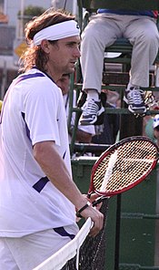 David Ferrer 2007 Australian Open R1.jpg
