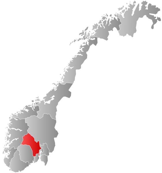 Fil:Norway Counties Buskerud Position.svg