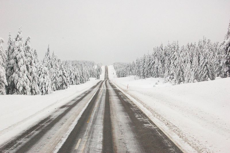 Fil:Highway 20 Kuusamo Finland.jpg