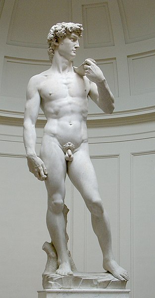 Fil:David von Michelangelo.jpg