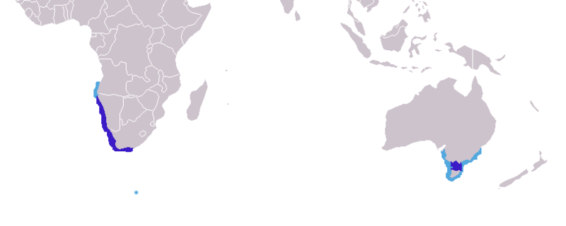 Fil:Arctocephalus pusillus distribution.png