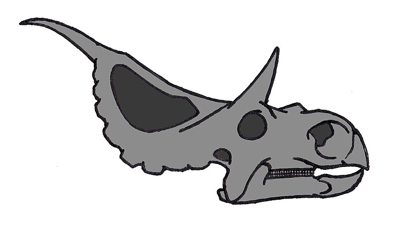 Fil:Diabloceratops 0473.JPG