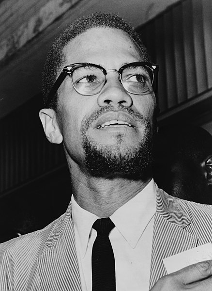 Fil:Malcolm X NYWTS 4.jpg