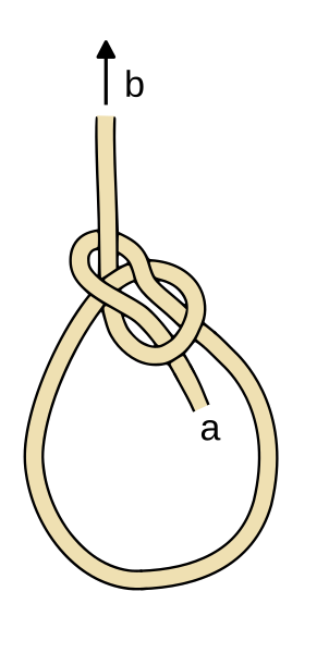 Fil:Bowline (standard).svg