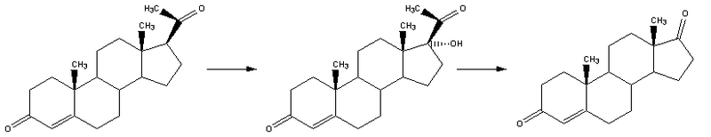 Fil:Reaction-Progesterone-Androstendione.png