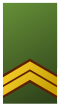 Nl-landmacht-sergeant majoor-opperwachtmeester.svg